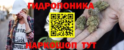молекула духа Камышлов